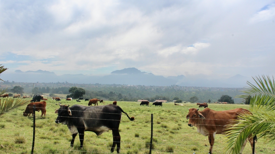 Commercial Property for Sale in Hansmoeskraal A H Western Cape